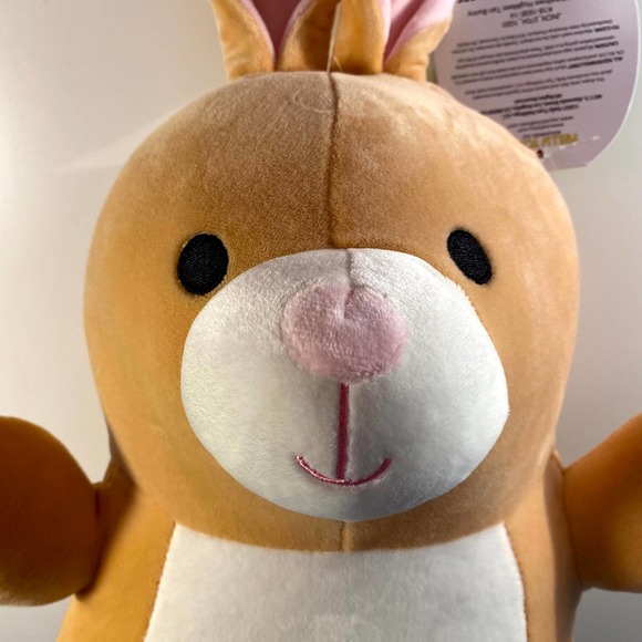 Squishmallow Rito the Brown Bunny Rabbit 14” Hugmees Plush Easter 2021 hug mees - Picture 9 of 15